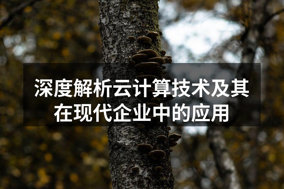 深度解析云计算技术及其在现代企业中的应用